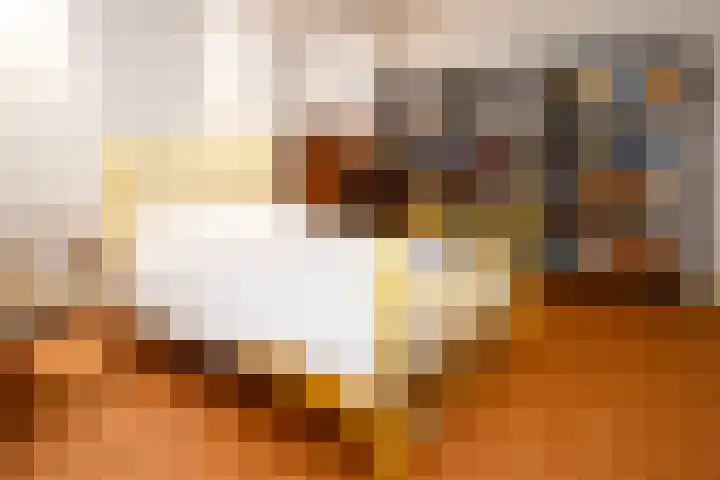 Landerum 19 Landerum thumbnail 57
