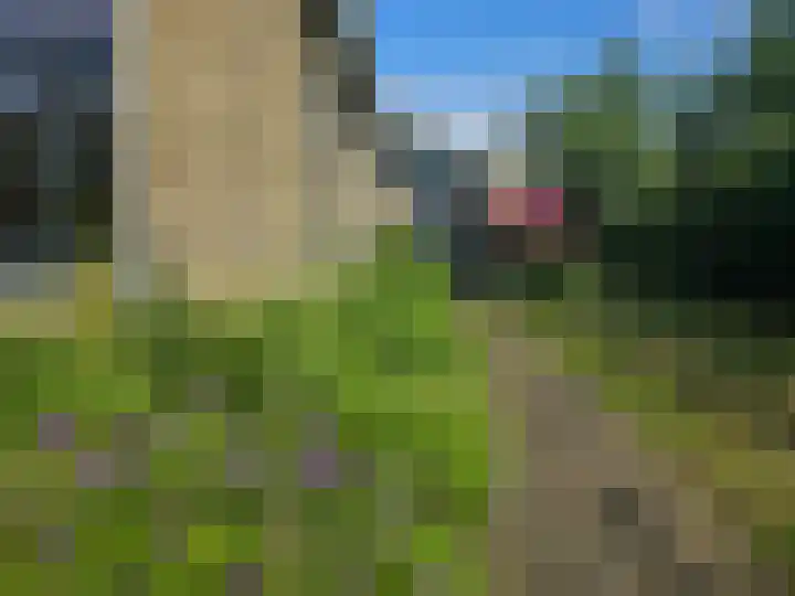 Landerum 19 Landerum thumbnail 6