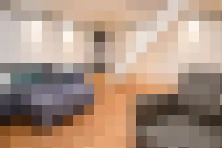 Landerum 19 Landerum thumbnail 60