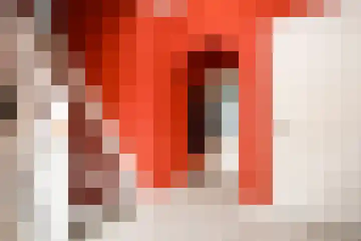 Landerum 19 Landerum thumbnail 63