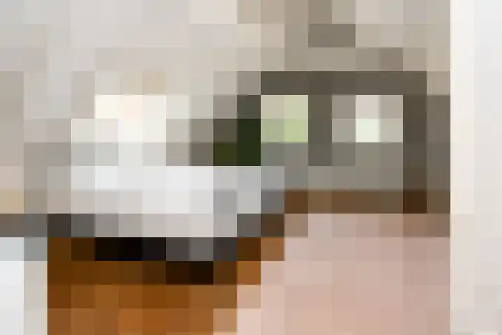 Landerum 19 Landerum thumbnail 66