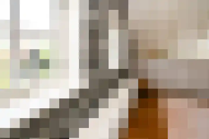 Landerum 19 Landerum thumbnail 67