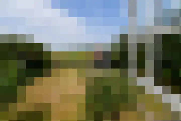 Landerum 19 Landerum thumbnail 68