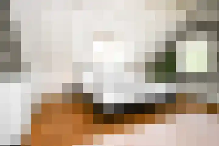 Landerum 19 Landerum thumbnail 69