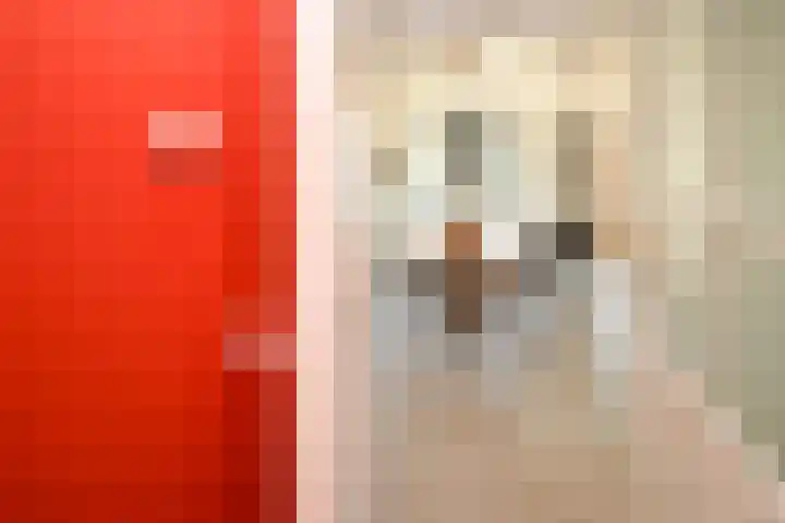 Landerum 19 Landerum thumbnail 7
