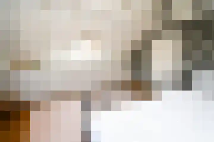 Landerum 19 Landerum thumbnail 70