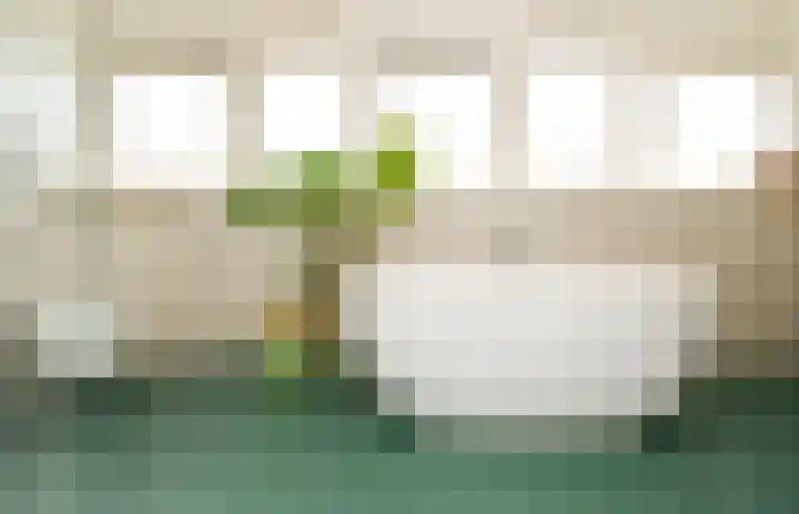 Landerum 19 Landerum thumbnail 72