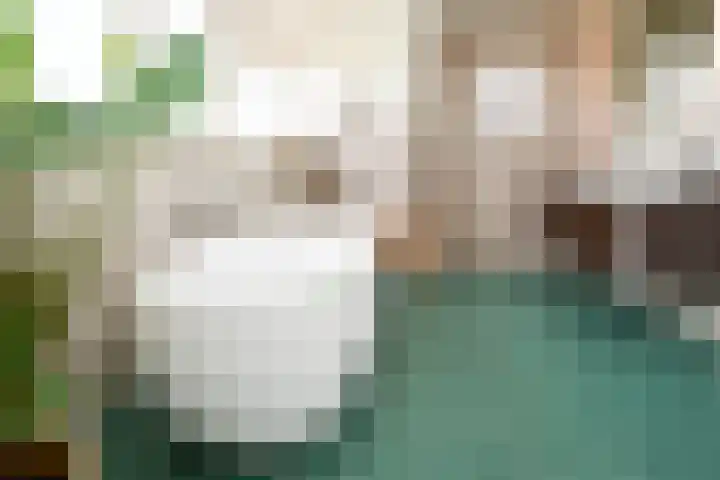 Landerum 19 Landerum thumbnail 73