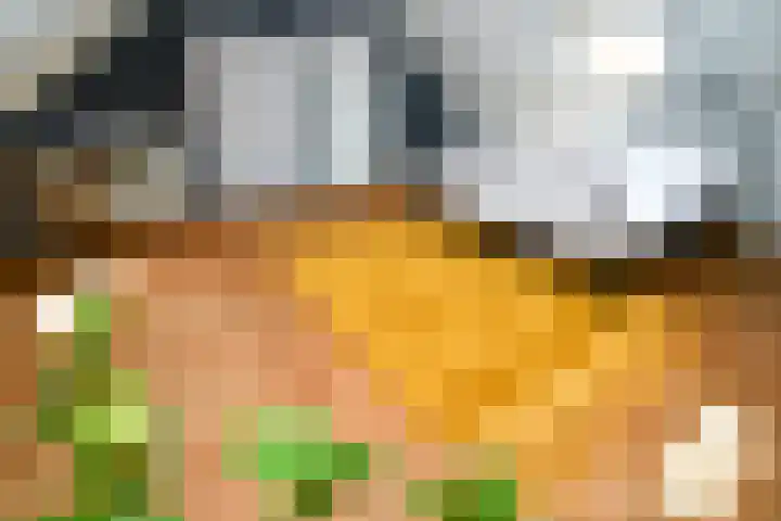 Landerum 19 Landerum thumbnail 77