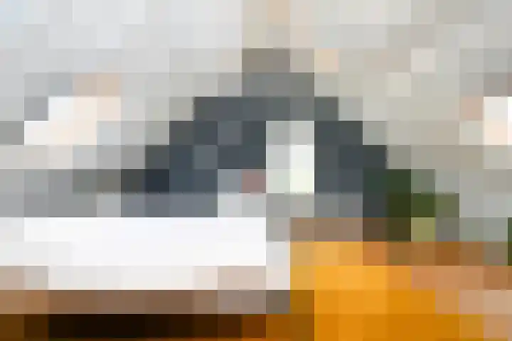 Landerum 19 Landerum thumbnail 79