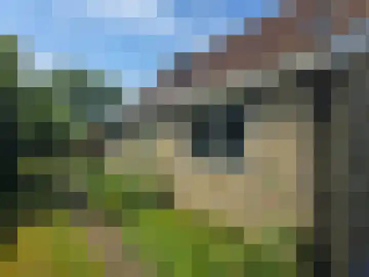 Landerum 19 Landerum thumbnail 82