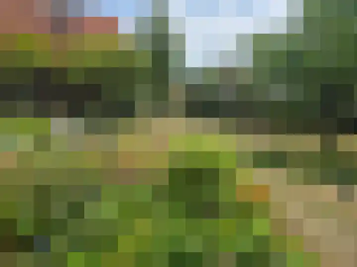 Landerum 19 Landerum thumbnail 83