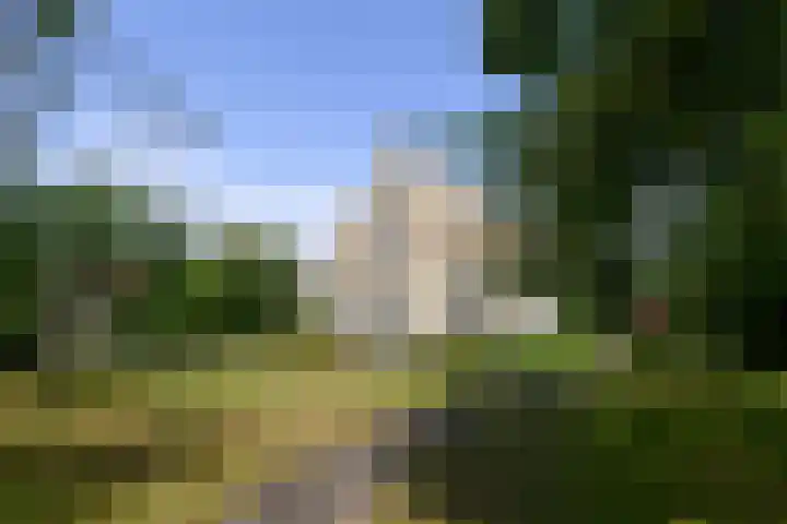 Landerum 19 Landerum thumbnail 84