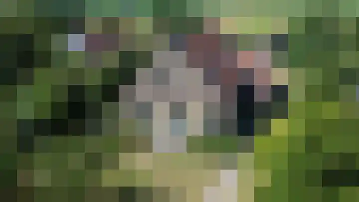 Landerum 19 Landerum thumbnail 85