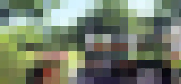 Landerum 38 Landerum thumbnail 17