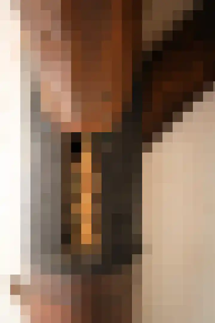 Landerum 38 Landerum thumbnail 23