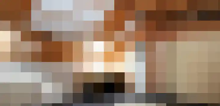 Landerum 38 Landerum thumbnail 30