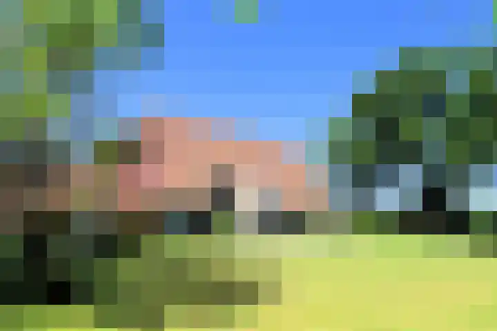 Landerum 38 Landerum thumbnail 36