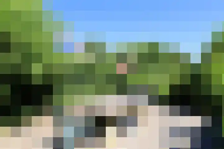 Landerum 38 Landerum thumbnail 37