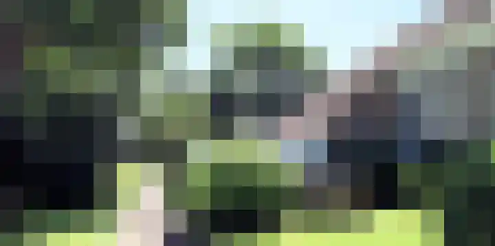 Landerum 38 Landerum thumbnail 38