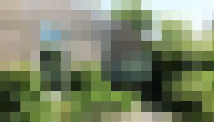 Landerum 38 Landerum thumbnail 22