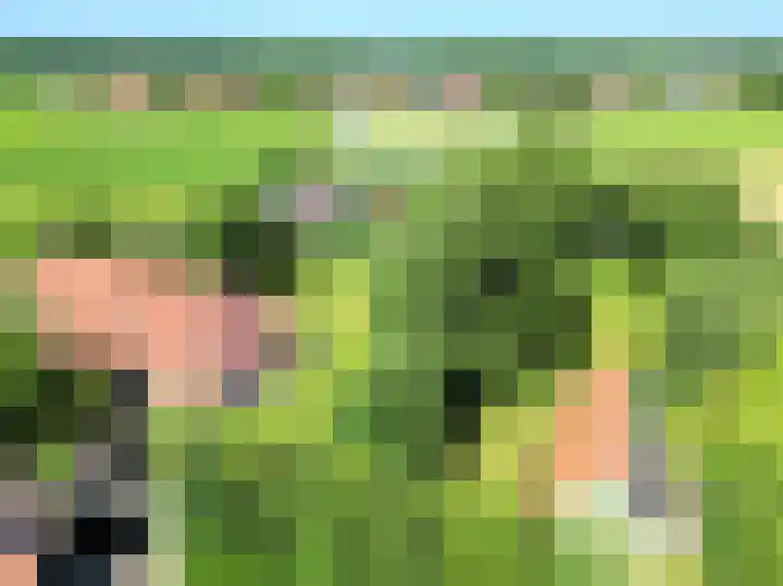 Landerum 38 Landerum thumbnail 4