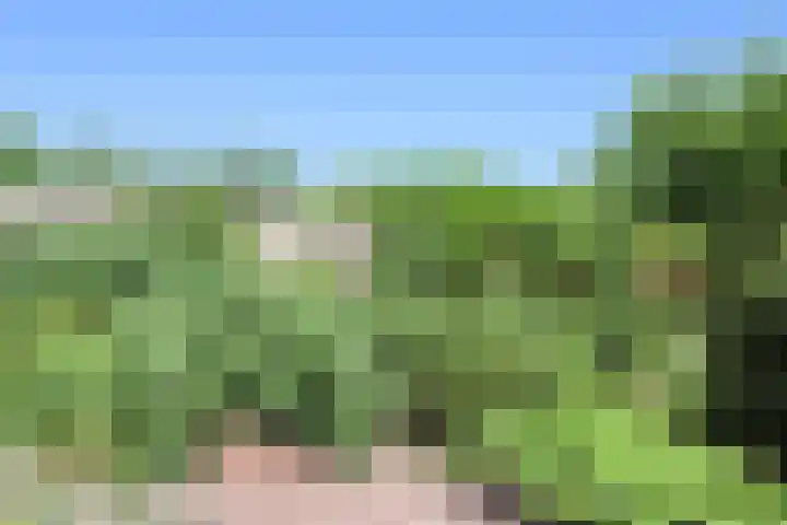 Landerum 38 Landerum thumbnail 23