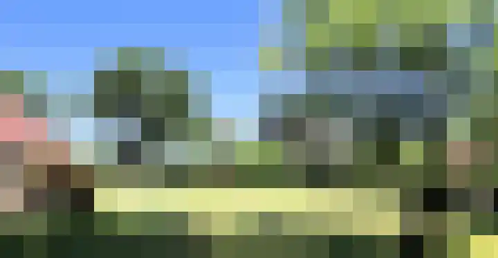 Landerum 38 Landerum thumbnail 41
