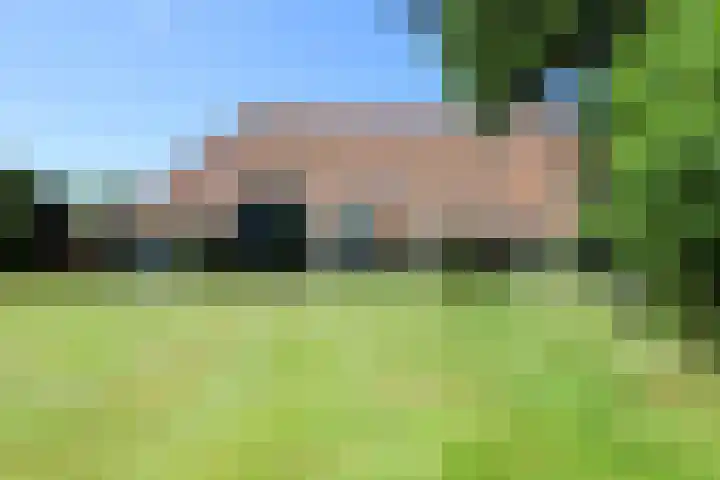 Landerum 38 Landerum thumbnail 42