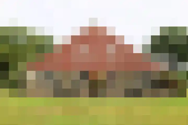 Landerum 38 Landerum thumbnail 47