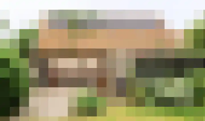Landerum 38 Landerum thumbnail 48