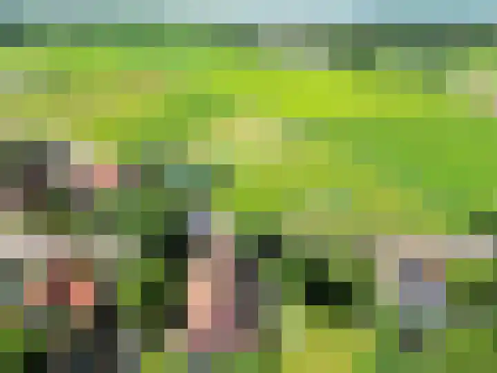 Landerum 38 Landerum thumbnail 5