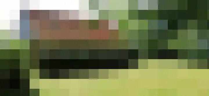 Landerum 38 Landerum thumbnail 27