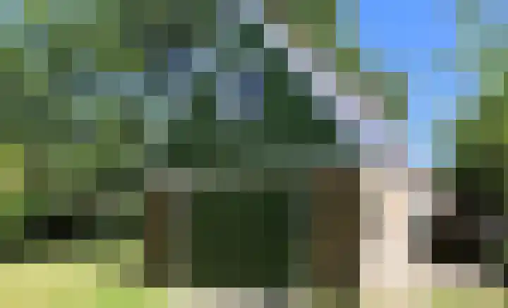 Landerum 38 Landerum thumbnail 54