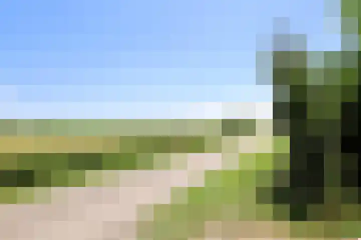 Landerum 38 Landerum thumbnail 56