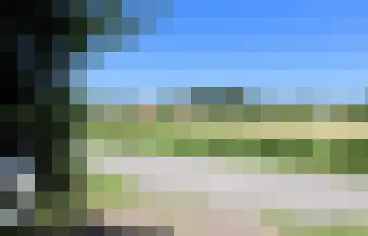 Landerum 38 Landerum thumbnail 28