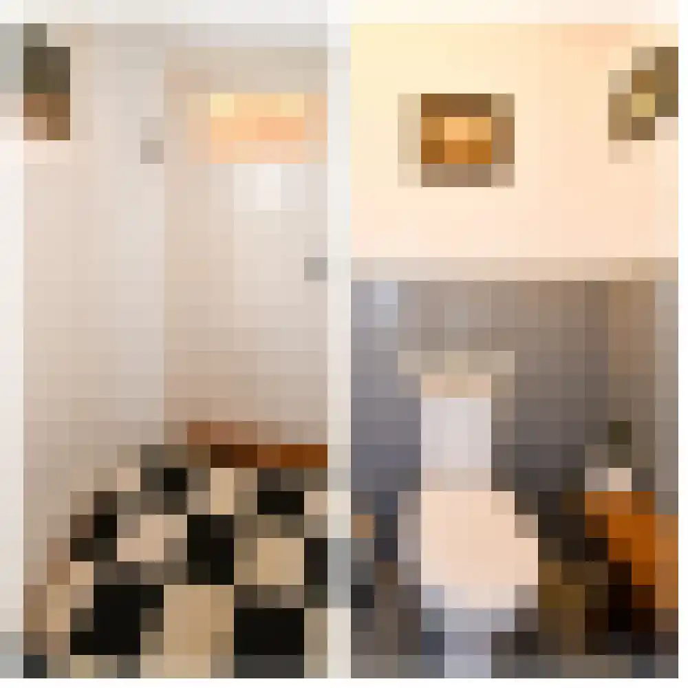 Landerum 8 Landerum thumbnail 17