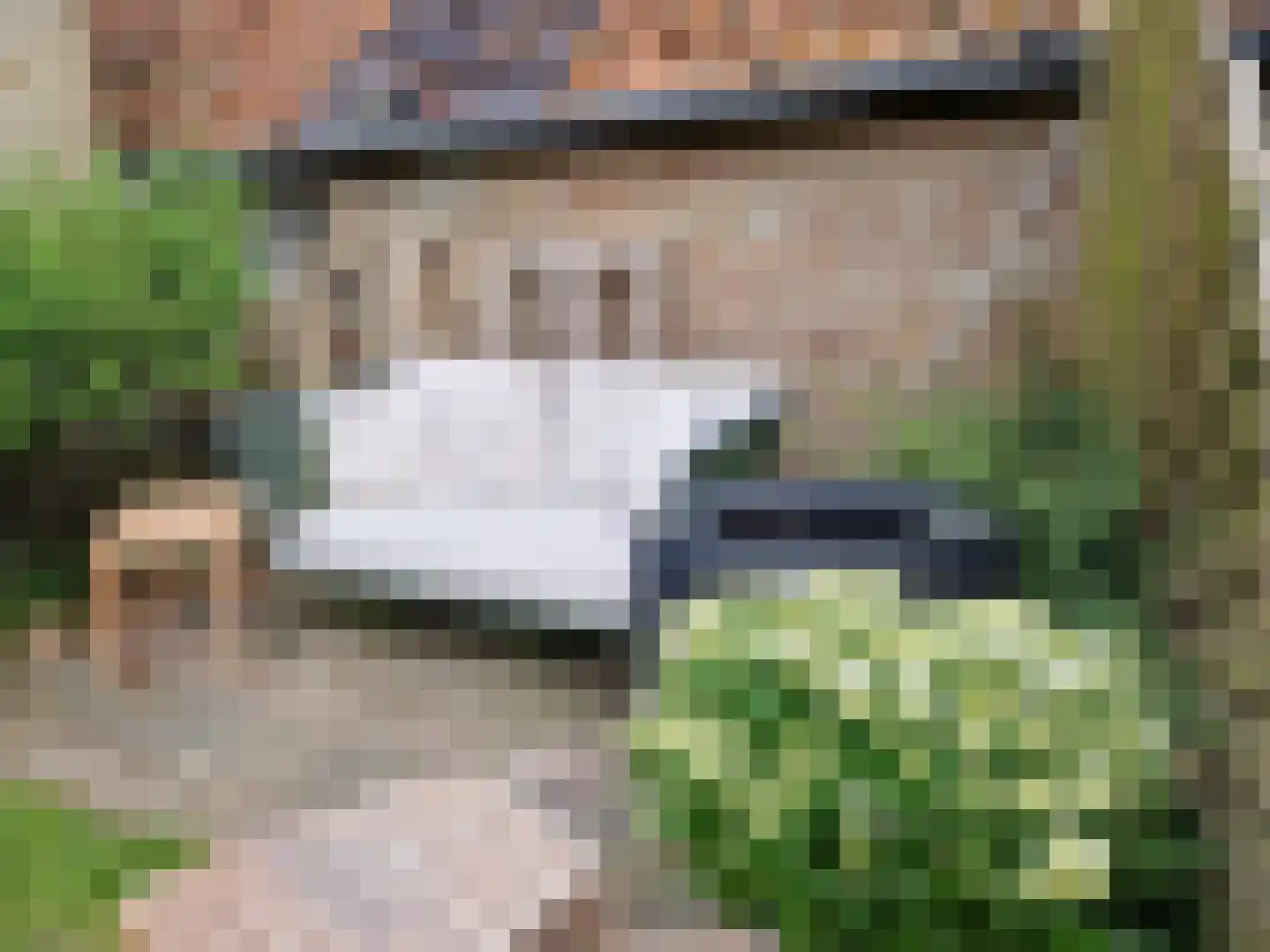 Landerum 8 Landerum thumbnail 19