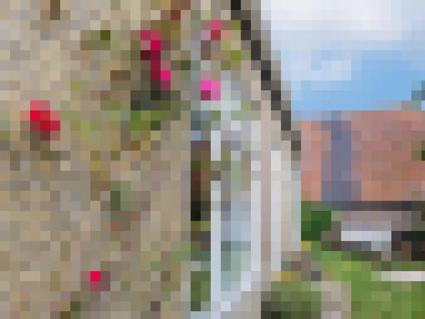 Landerum 8 Landerum thumbnail 20