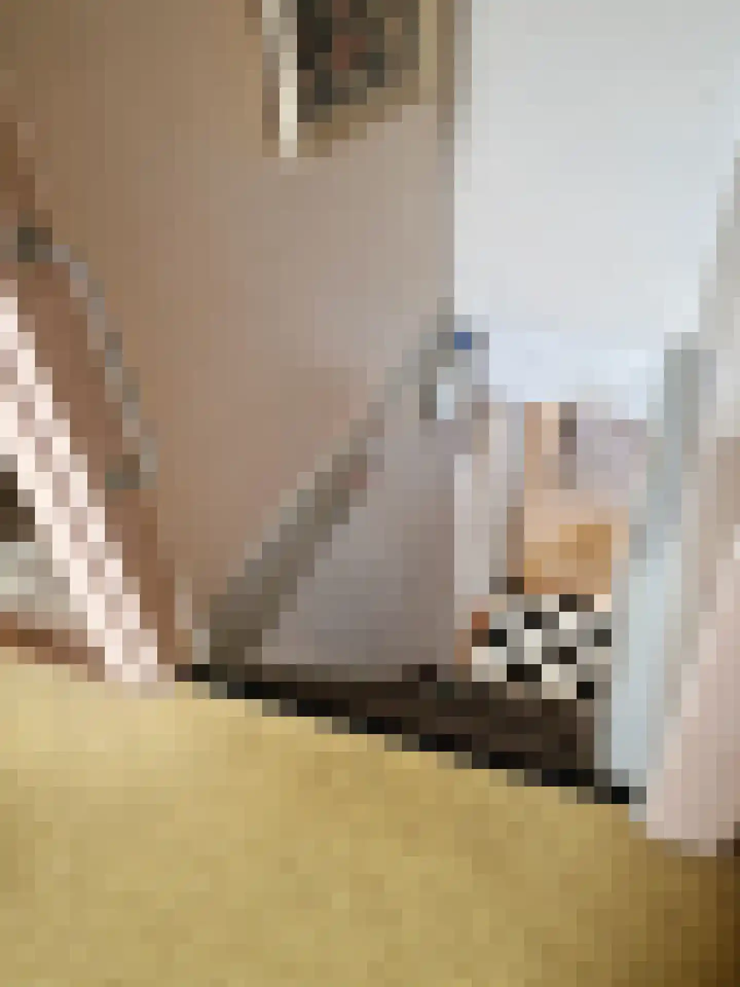 Landerum 8 Landerum thumbnail 22