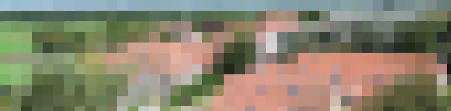 Landerum 8 Landerum thumbnail 38