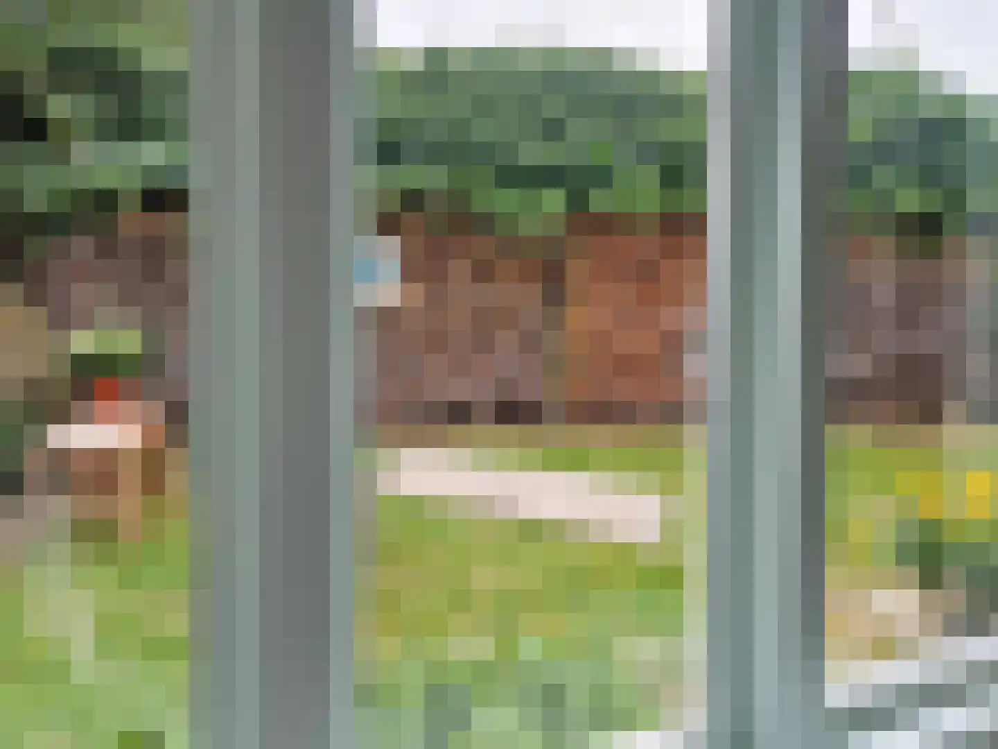 Landerum 8 Landerum thumbnail 9