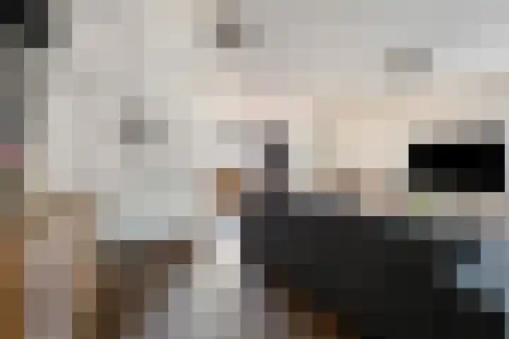 Landeweel 11 Wouw thumbnail 10