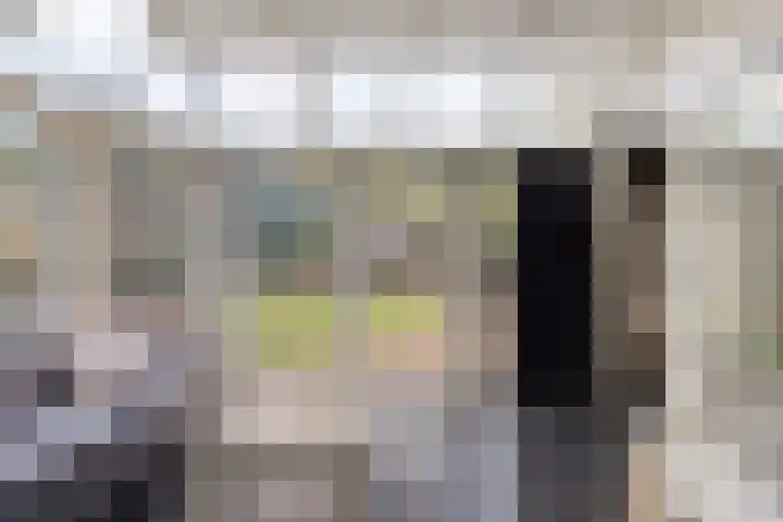 Landeweel 11 Wouw thumbnail 13