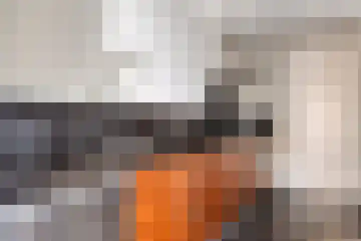 Landeweel 11 Wouw thumbnail 18