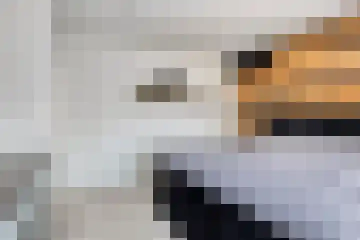 Landeweel 11 Wouw thumbnail 22