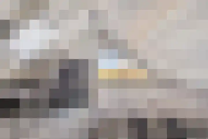 Landeweel 11 Wouw thumbnail 30