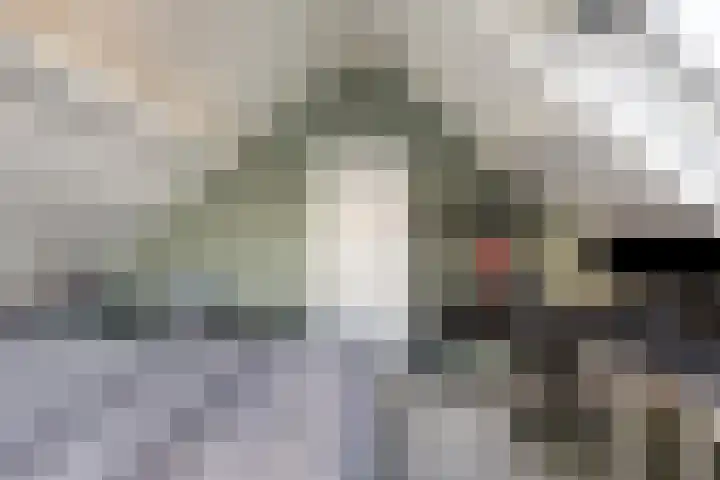 Landeweel 11 Wouw thumbnail 31