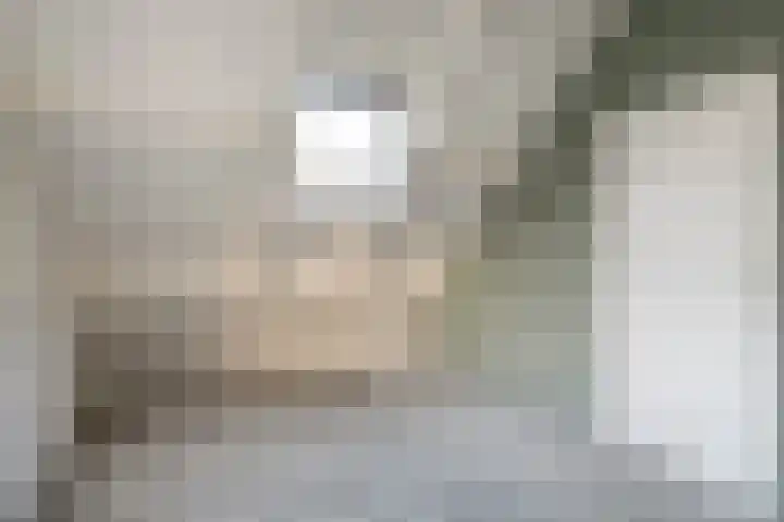 Landeweel 11 Wouw thumbnail 33