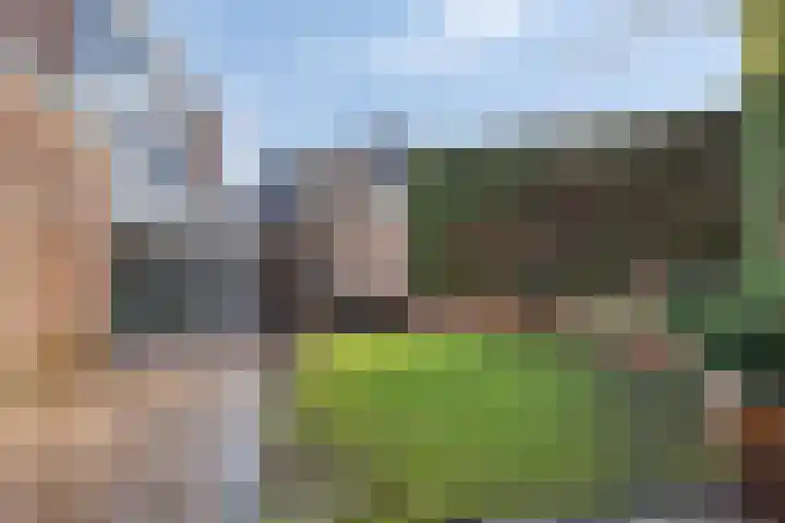 Landeweel 11 Wouw thumbnail 36